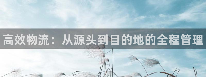 fh至尊平