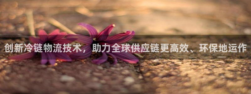 fh至尊是老凤凰吗