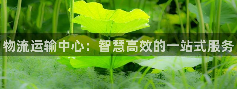 fh至尊平台多少年了