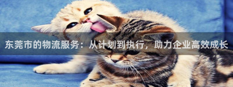 fh至尊邀请码