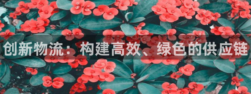 fh至尊在哪个平台