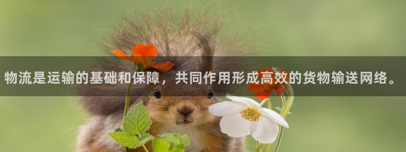 FH-FH至尊版的功能