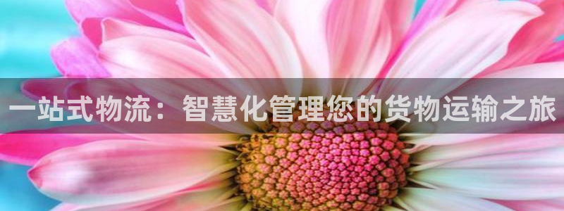 fh至尊版手机app