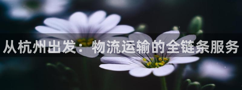 fh至尊平台安全密码忘记了