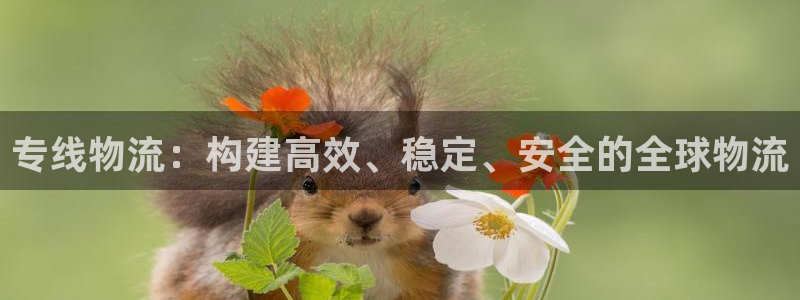 FH至尊平台怎样