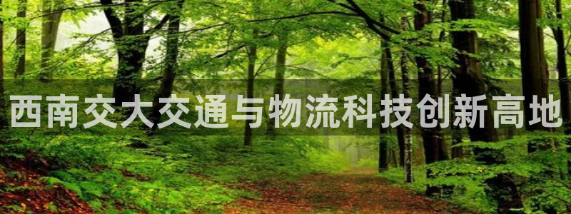fh至尊平台怎么打不开了呢