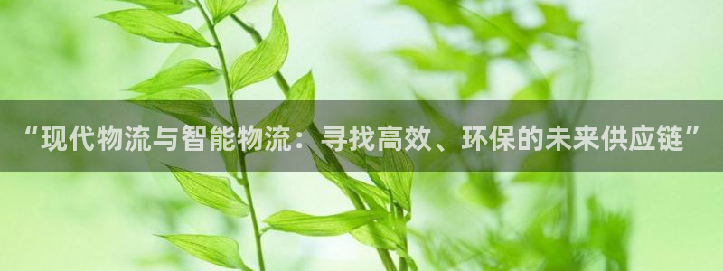 FH至尊平台老板是谁