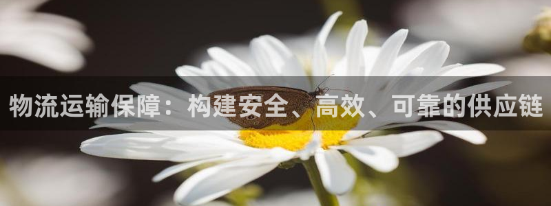 fh至尊是什么牌子