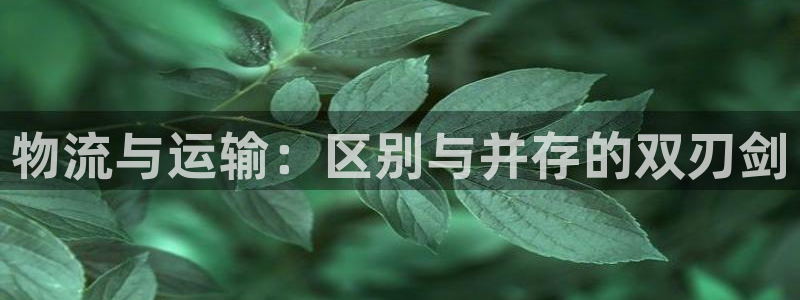 fh至尊黑铁
