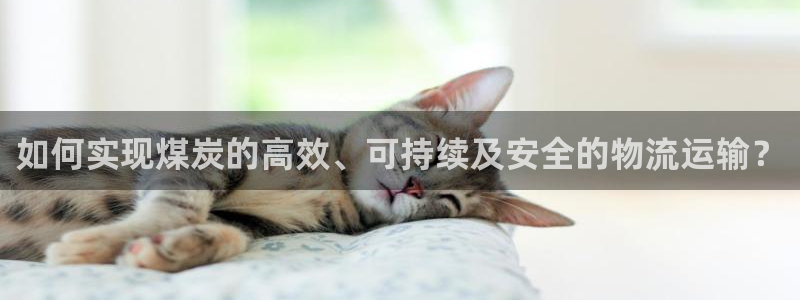 fh至尊平台正常登录