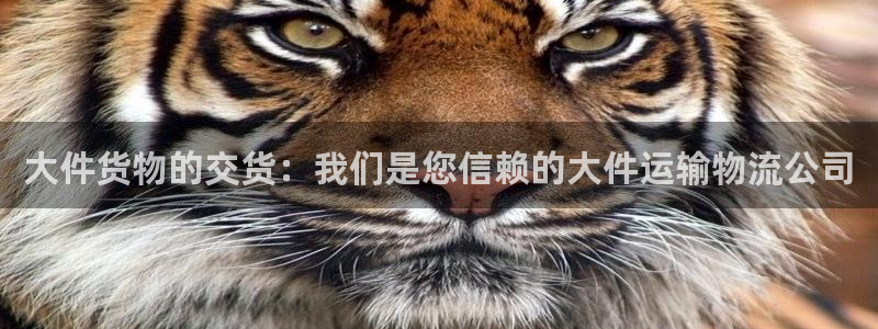 fh至尊是凤凰平台吗