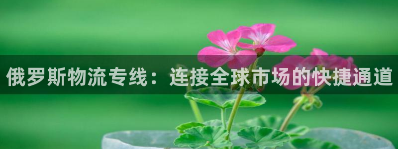 fh至尊凤凰是黑网